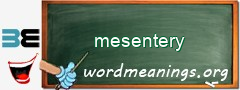 WordMeaning blackboard for mesentery